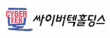 (주)싸이버텍홀딩스