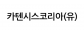 카텐시스코리아(유)