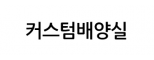 커스텀컬쳐