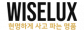 (주)와이즈럭스