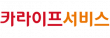 카라이프서비스