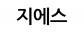 지에스