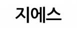 지에스