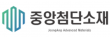 (주)중앙첨단소재