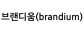 브랜디움(brandium)