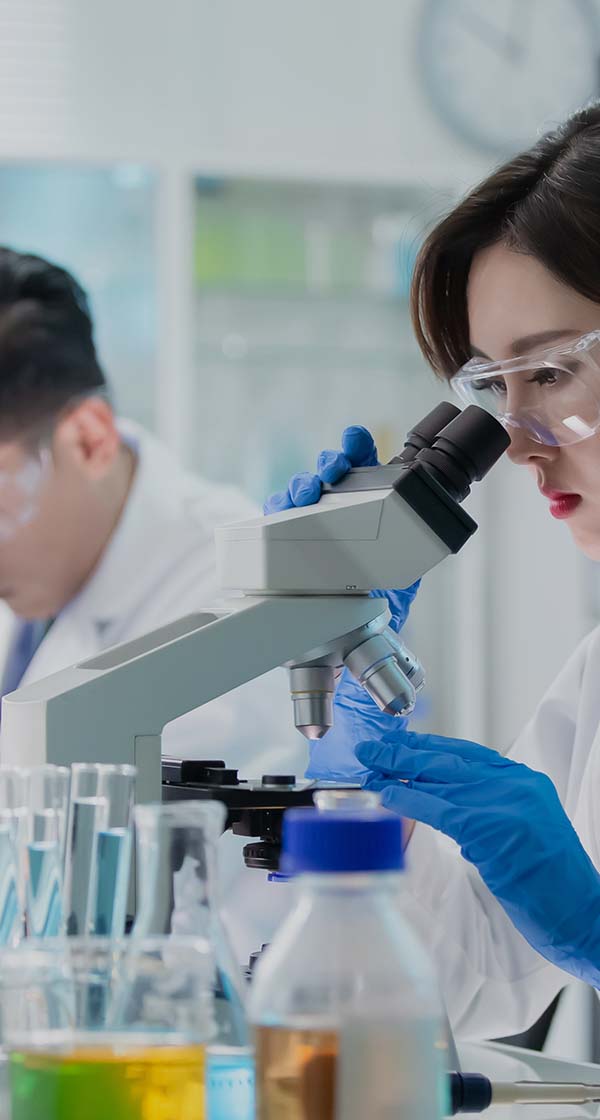 2025년 신입(인턴)/경력 채용