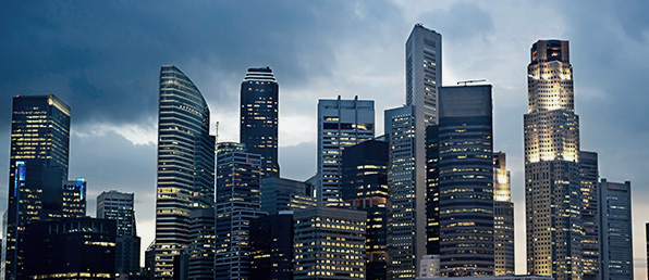 2025 신입/경력사원공개채용