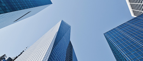 각 부문 신입/경력 채용