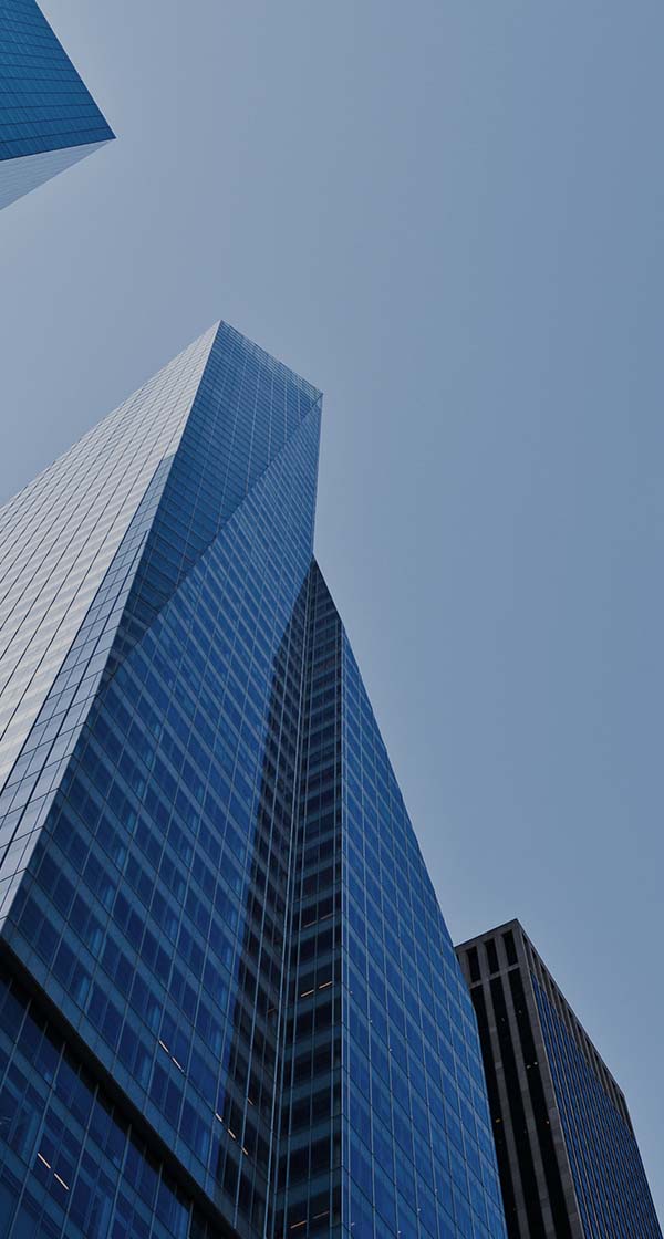 각 부문 신입/경력 채용