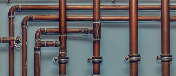 2025년 하반기 신입/경력 채용