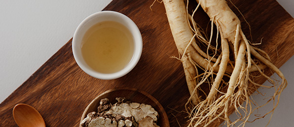 분야별 신규사원(전문계약직)모집