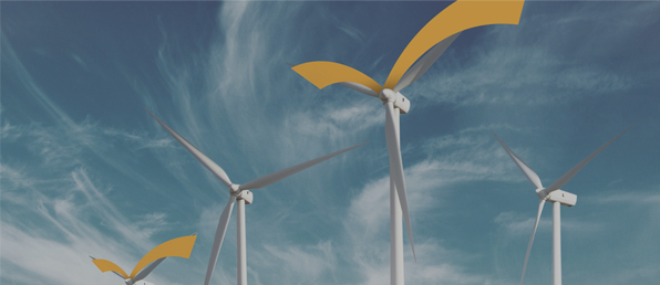 2025년 채용 모집