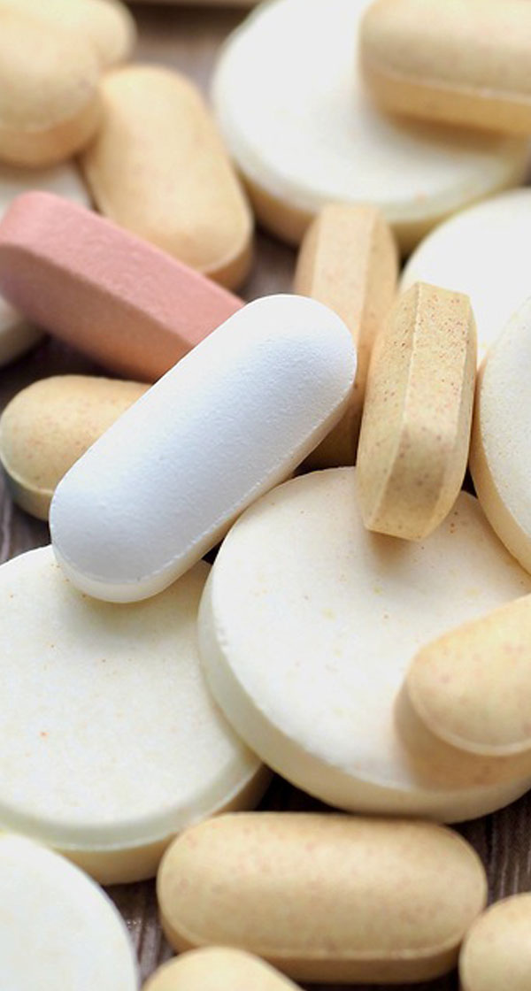 각 부문신입/경력사원 모집