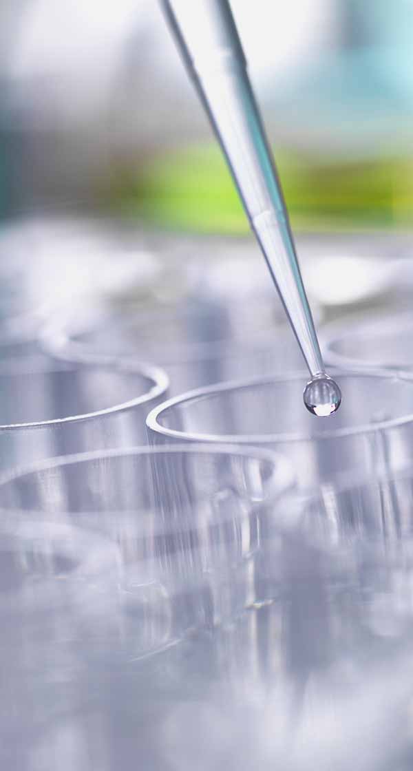 각 부문별 경력 채용