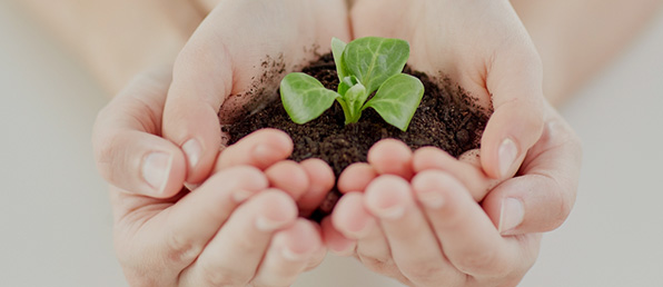 2026년 상반기각 부문 신입사원 채용