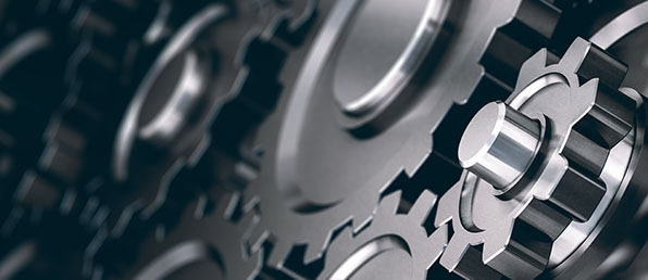 신입 사원 모집