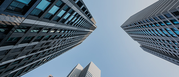 상반기 신입/경력 공개채용