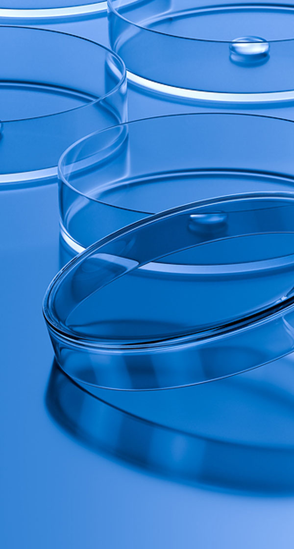 원주본사 각 부문신입/경력 채용 