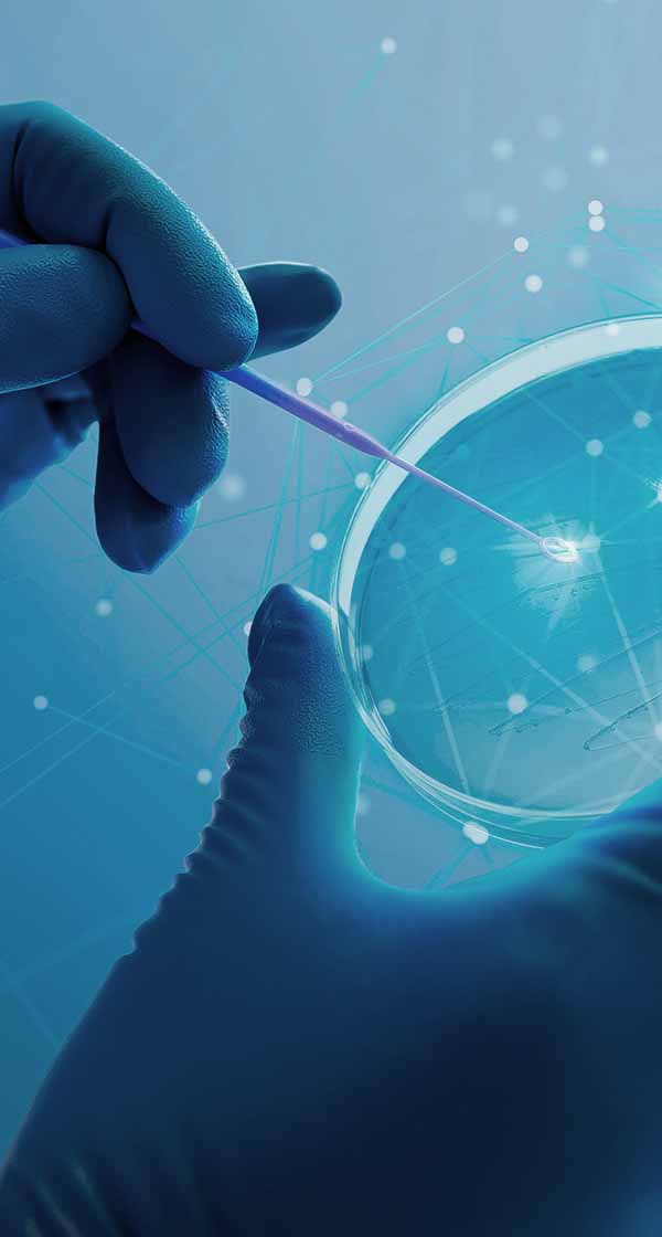 2026년도 상반기대규모 인재채용