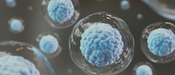 상반기 각 부문 수시채용(HR,노무,구매 등)