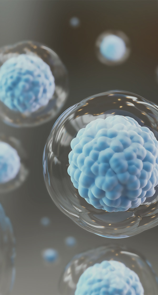 상반기 각 부문 수시채용(HR,노무,구매 등)