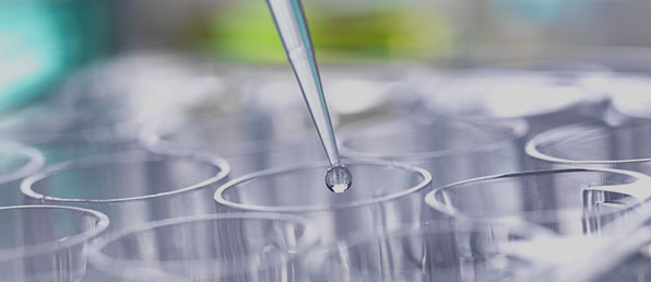 신입/경력 수시채용