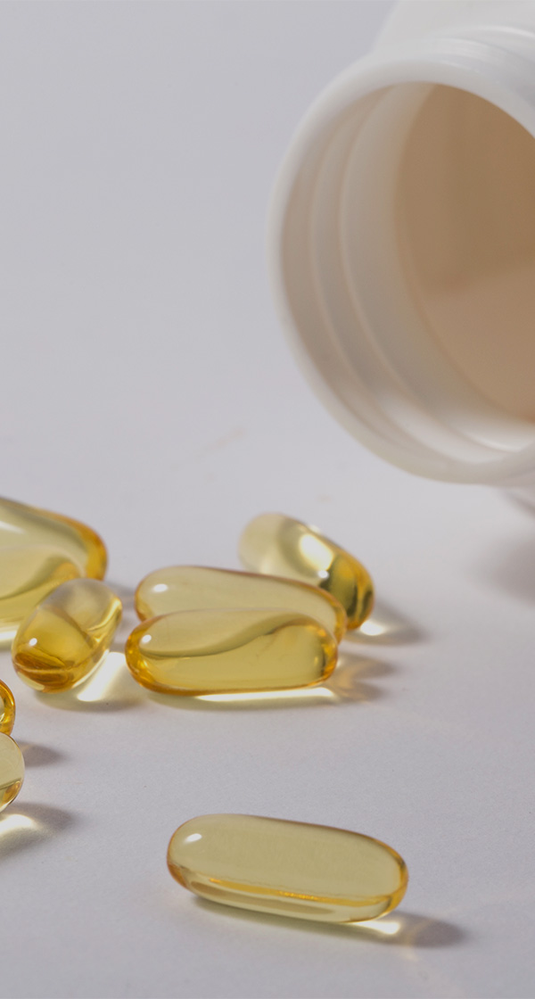 2026년약사 채용