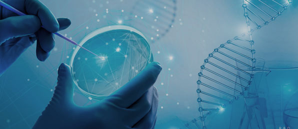 2026 상반기 경력 채용