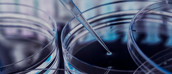 2026년 2차수시채용