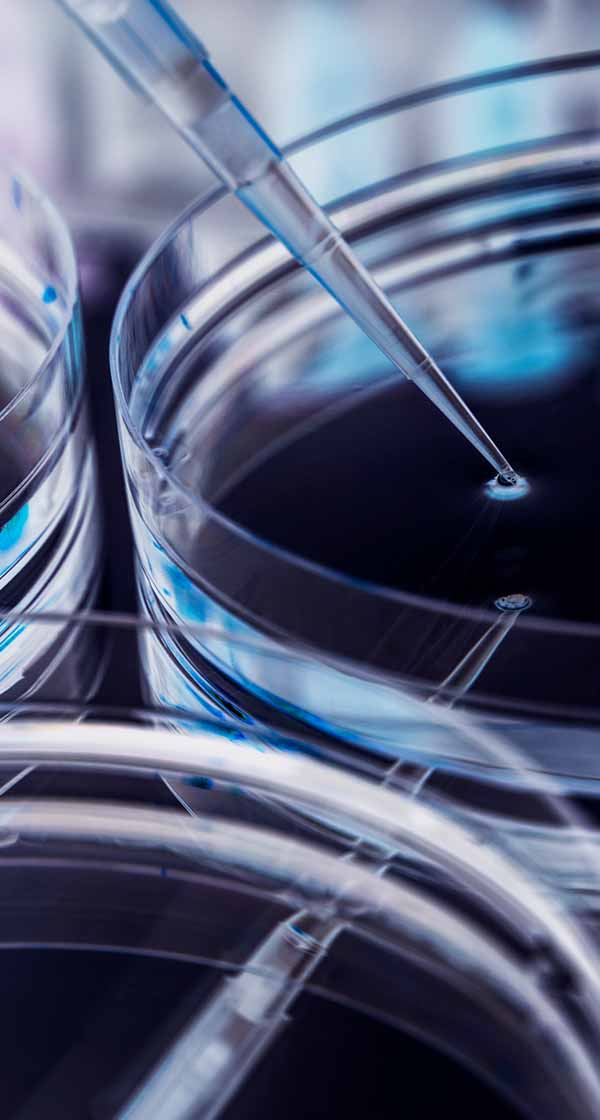 2026년 2차수시채용