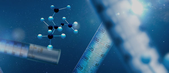 2026년 신입/경력 수시채용