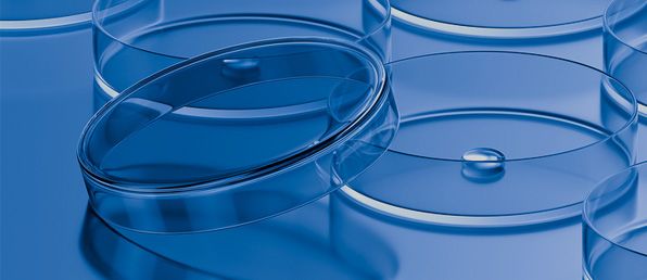 각 부문 신입/경력 채용(건기식 생산/연구/지원 등)