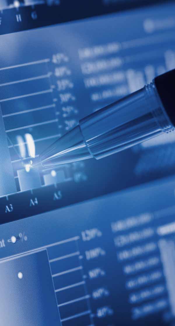 해외영업, 연구개발신입 모집