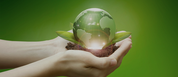 2026년 신입/경력 채용