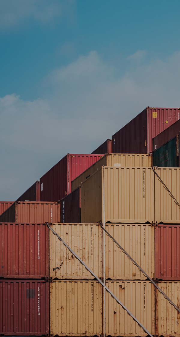 2026년 신입 및 경력직상시 채용