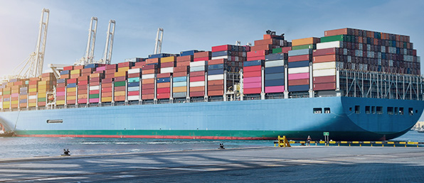 2026년 신입 및 경력직상시 채용