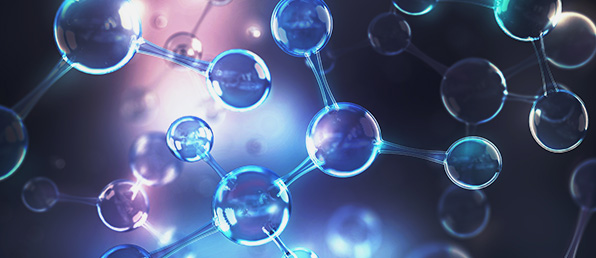 2026년 상반기 공개채용[각 부문별]