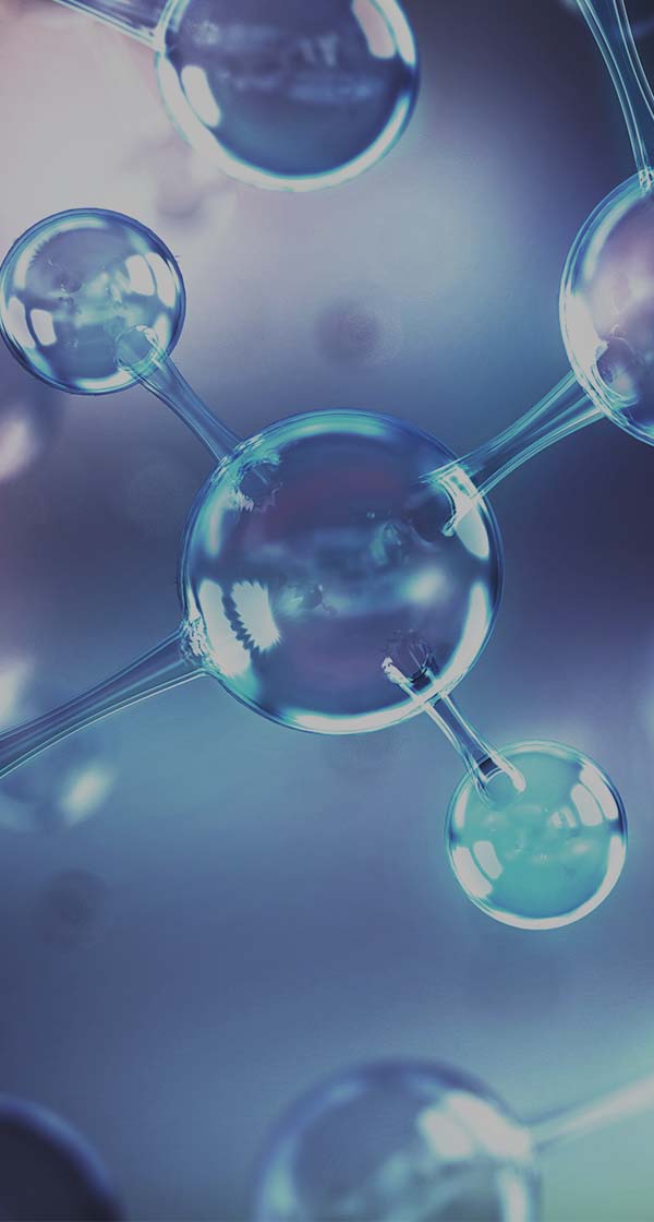 2026년 상반기 공개채용[각 부문별]