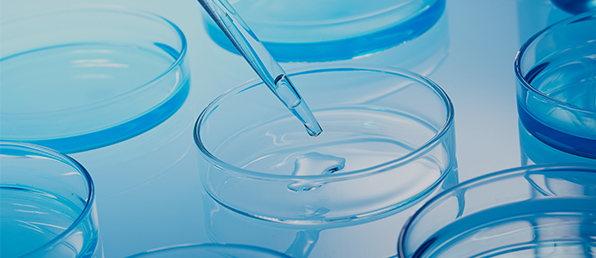 신입 및 경력 직무별 수시채용(마감일 직무별 상이)