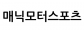 매닉모터스포츠