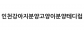 인천강아지분양고양이분양테디럽