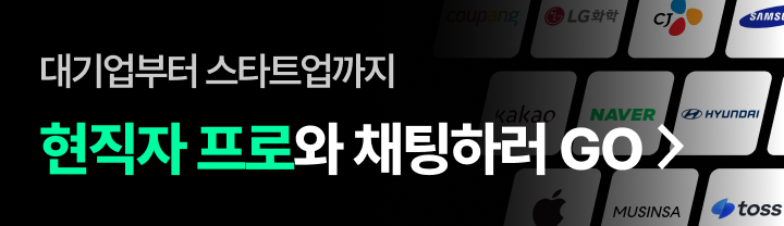대기업부터 스타트업까지 현직자 프로와 채팅하러 GO>